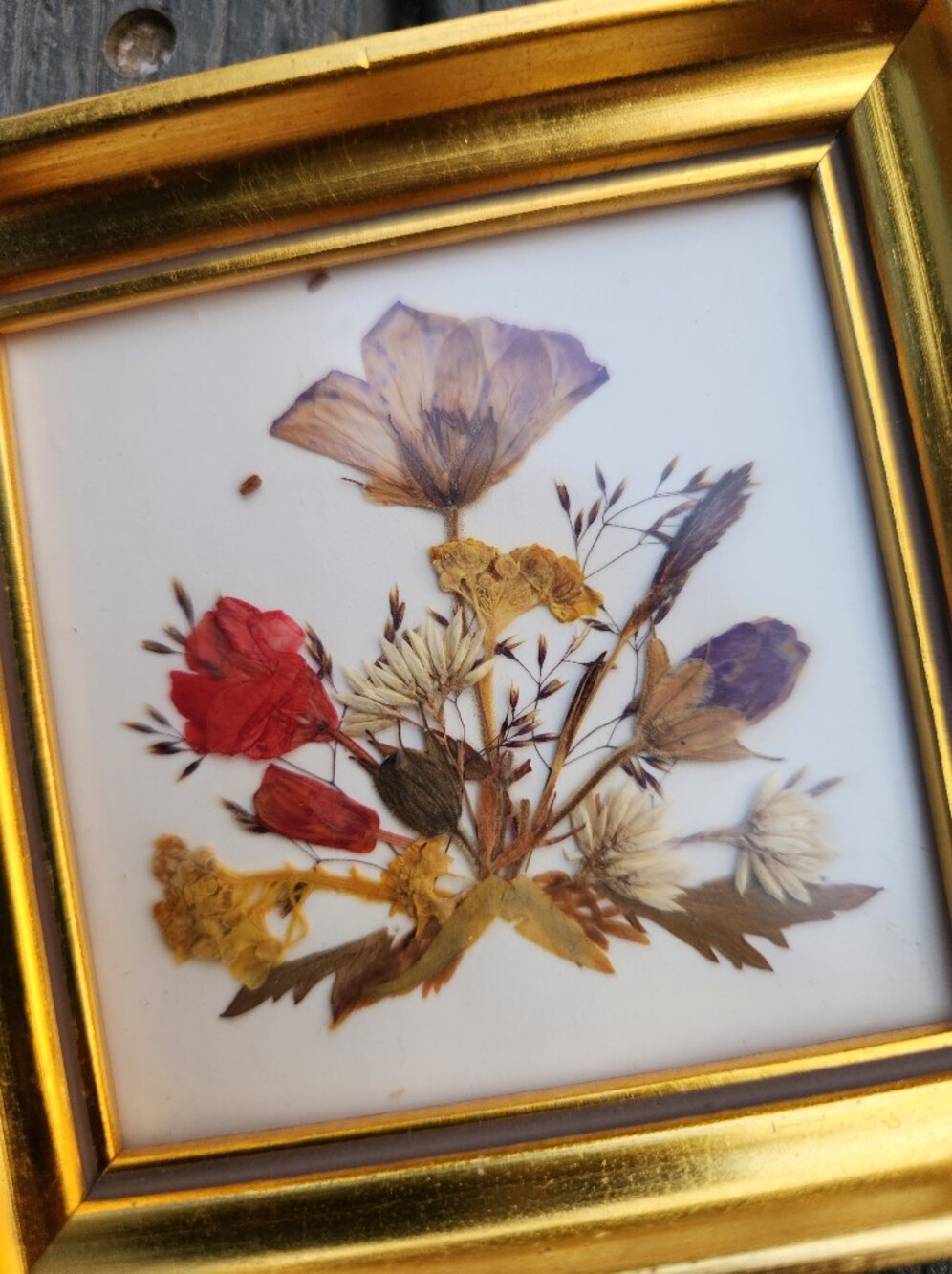 Pressed Flower Wall Art Set in Gold Frame - Red, Yellow, Purple Floral - Picture 6 of 7